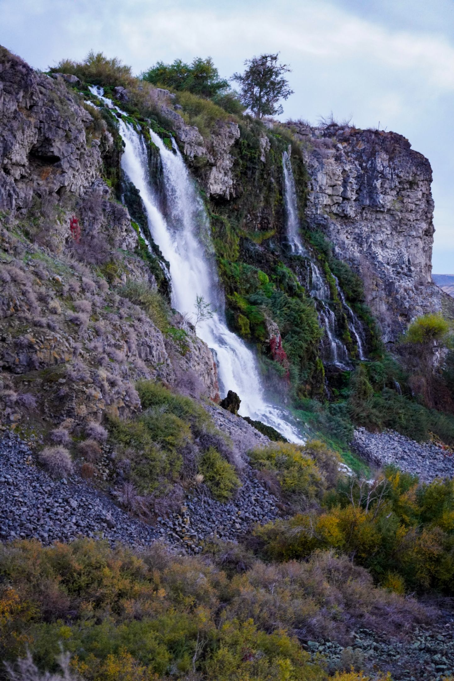 Lemon Falls — 4